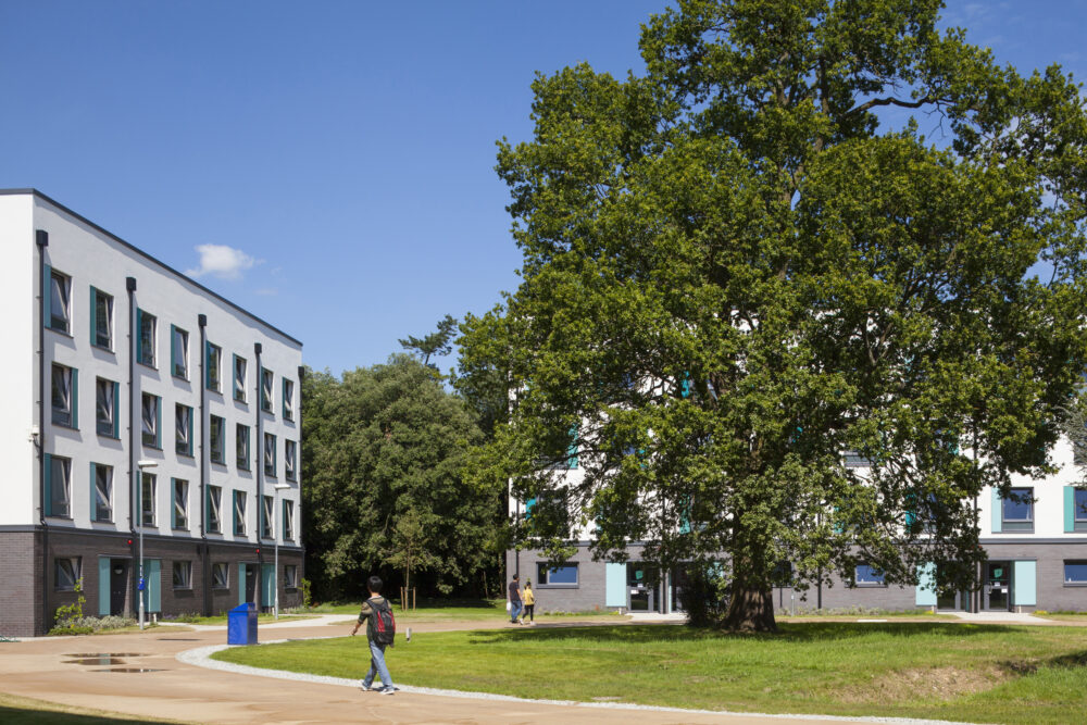 Bridges Hall University of Reading - UPP - Broockfield Muiltiplex