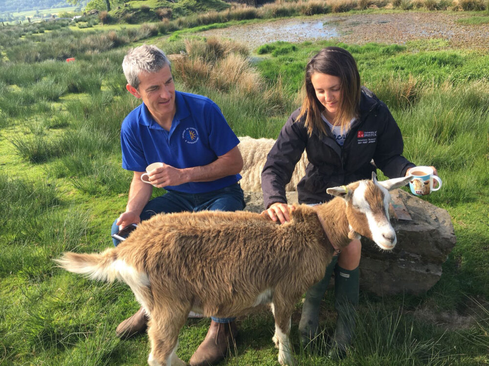 Brynamlwg Uchaf - Aled + Sheila Jones